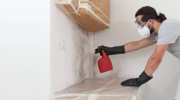 Professional Hvac And Air Duct Mold Remediation technician working in Leland, MI