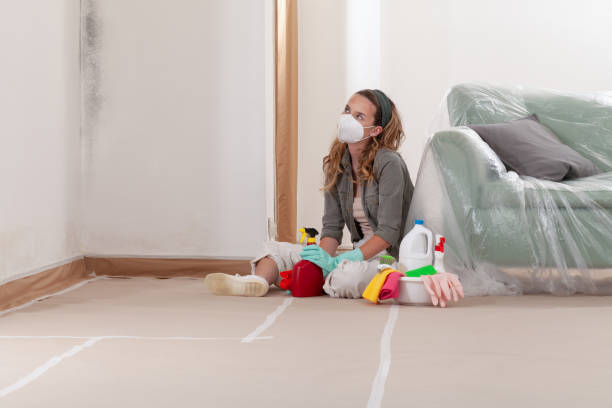 Reliable Hvac And Air Duct Mold Remediation contractor in Leland, MI by 24 Hour Mold Removal